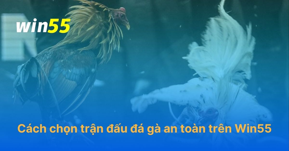 Cách chọn trận đấu