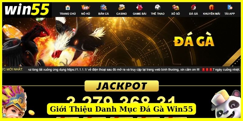 Giới thiệu về danh mục Đá Gà tại Win55