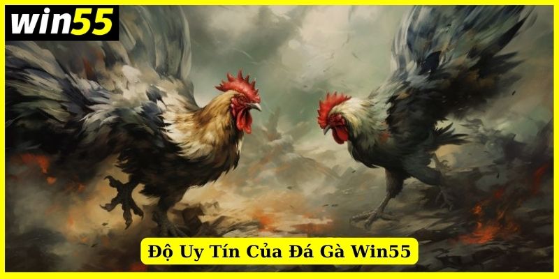 Giải đáp về độ uy tín của danh mục đá gà Win55