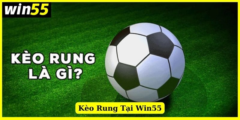 Khái niệm về kèo rung Win55