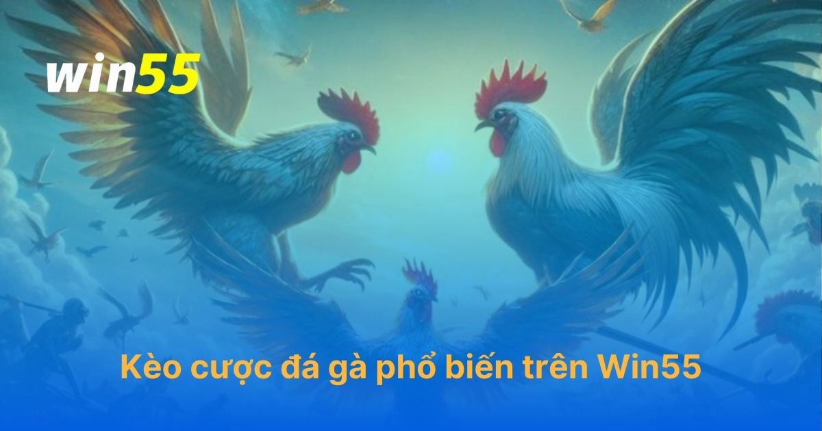 Kèo cược đá gà Win55