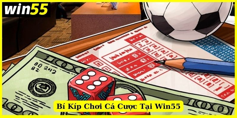 Bí kíp thắng lớn khi cá cược tại Win55